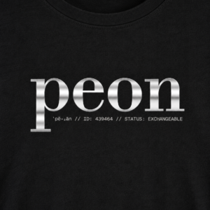 Peon: Chrome — Implied Standard Women's Tee - Image 3